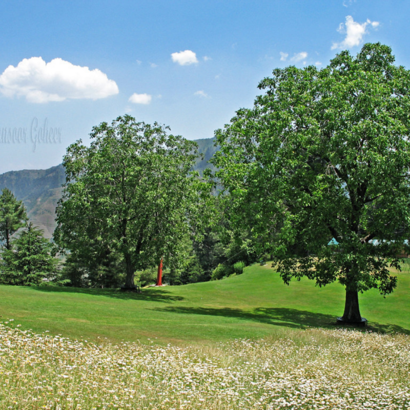 Lalazar Wildlife Park