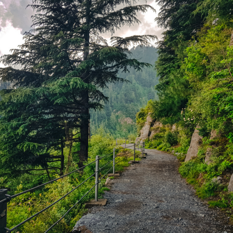 Dunga Gali Pipeline Track